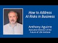#183: How to Address AI Risks in Business: Anthony Aguirre of the Future of Life Institute