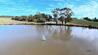 DF & RG65 Yacht racing, Part 2, Puddle Duck 19th August 2025