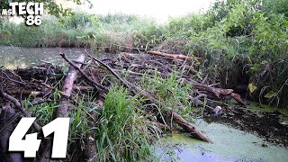 Manual Beaver Dam Removal No.41 - The Long Way To The Goal