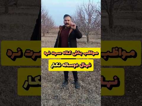 در انتخاب نهاا دقت کن نهال هرس باغبانی باغداری Agriculture Farming 