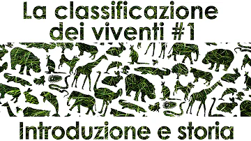Cosa vuol dire classificazione tassonomica?