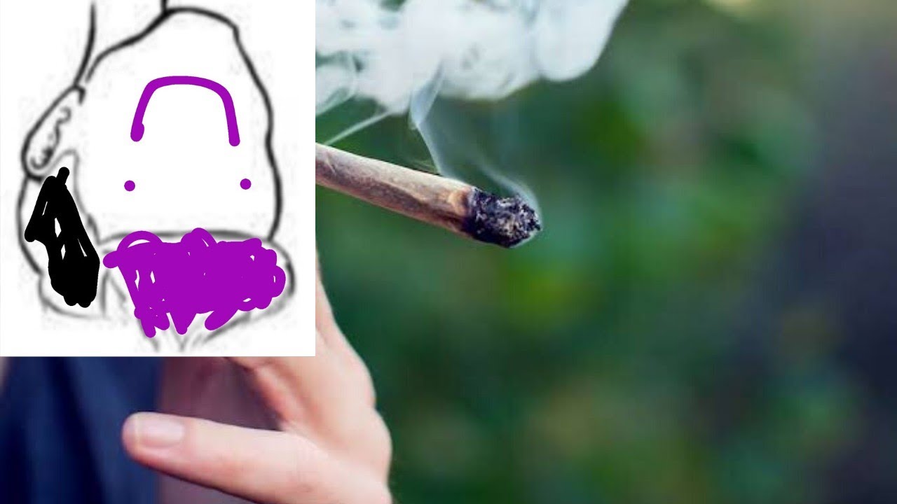 FAKE WEED PRANK(gone wrong)