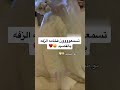 زفات 2023 زفة العروس زفات عروس افراح جديد الفنان حفلات استوديو استديو شيلات زفات عروس