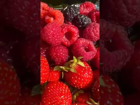 С днём СЕМЬИ 🥰 #семья#деньсемьилюбвииверности #пожелания #влогмамалайф #влогикаждыйдень #влог #мама