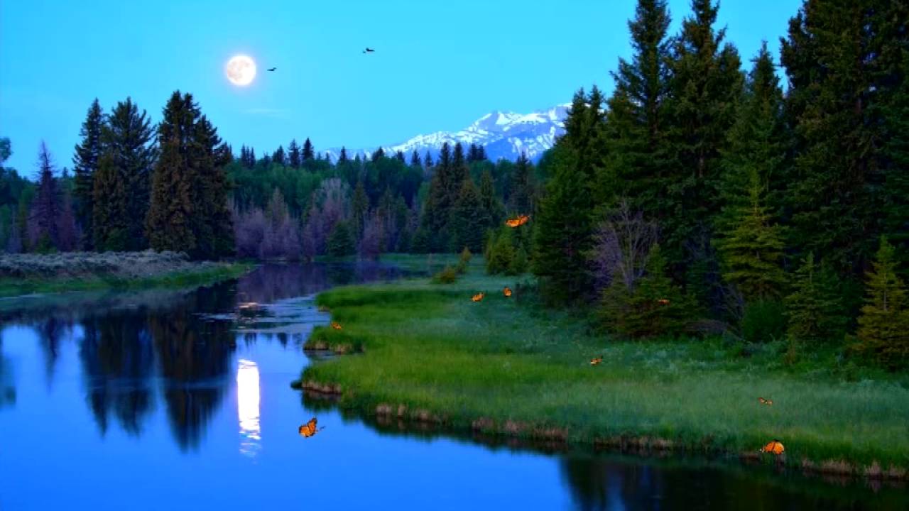 Hew Len Inner Child meditation (Remix Moments of Realisation) YouTube