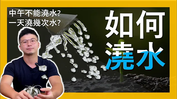 【如何浇水】该不该浇水，要浇多少水? 注意! 浇错比不浇更惨，还有超实用浇水口诀让你秒懂浇水，错过就太吃亏了!＃如何浇水＃伊恩爱种花＃正中午可不可以浇水  ｜字幕｜ - 天天要闻