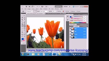 Photoshop CS6 Tutorial Using the Paint Bucket Tool Adobe Training