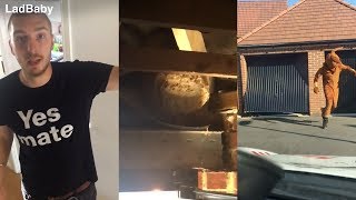 When Dad Tackles A Wasps Nest