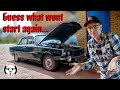 Rover p6 v8 wont start againwhats broken now