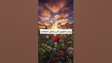 الْحَمْدُ لِلَّهِ الَّذِي أَنْزَلَ عَلَىٰ عَبْدِهِ الْكِتَابَ ❤️#مع_القرآن #راحة_نفسية #سورة_الكهف