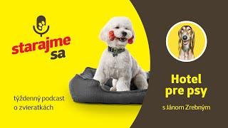 Starajme sa | Psy: Hotel pre psy