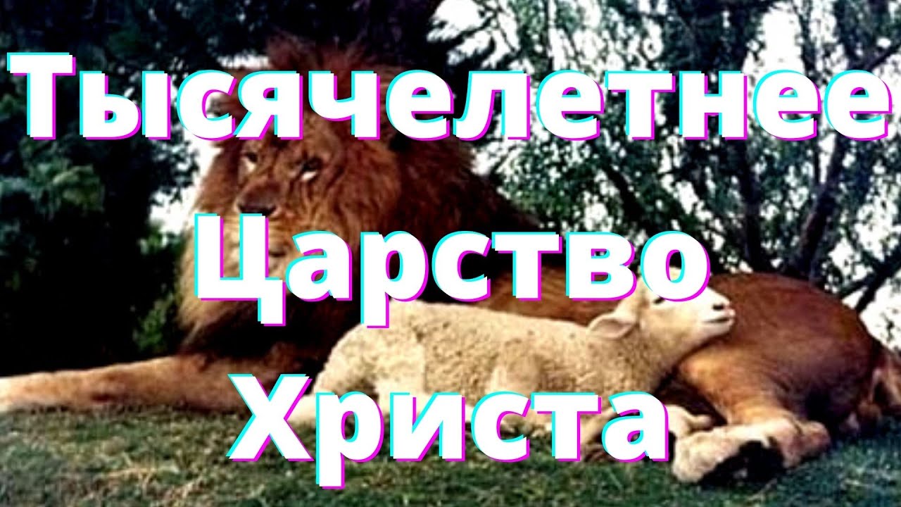 Откровения о последнем времени - Тысячелетнее Царство Христа.  (Часть 22)