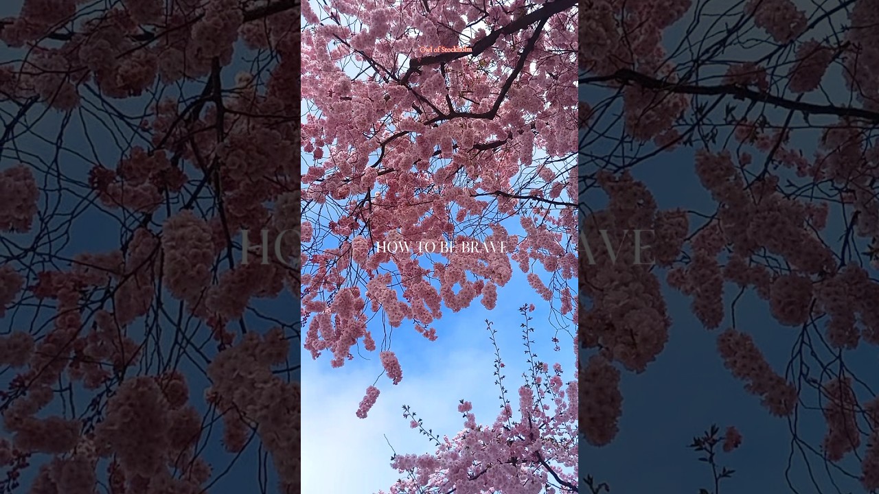 Lumaparken (with A thousand years lyrics)