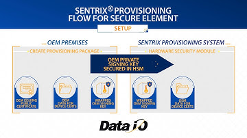 SECURE ELEMENT FLOW SentriX