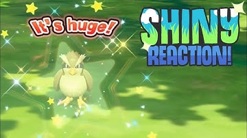 LIVE SHINY PIDGEY! (Pokémon Lets Go Pikachu/Eevee)