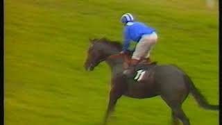 1990 King Stand Stakes Dayjur + Replay