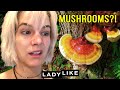 I Tried Mushrooms For My Anxiety For A Month • Ladylike