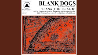 Video thumbnail of "Blank Dogs - Leaving the Light On"