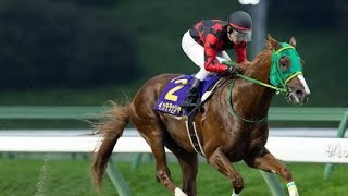 ホリエモンの愛馬が衝撃の6馬身差！イッテラッシャイ圧勝で重賞初制覇🔥🏇#イッテラッシャイ #不来方賞 #盛岡競馬場 #堀江貴文 #ホリエモン #戸崎圭太 #競馬 #競馬ニュース #地方競馬 #