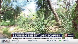 Tucson Botanical Gardens begins landscape classes that encourage water conservation