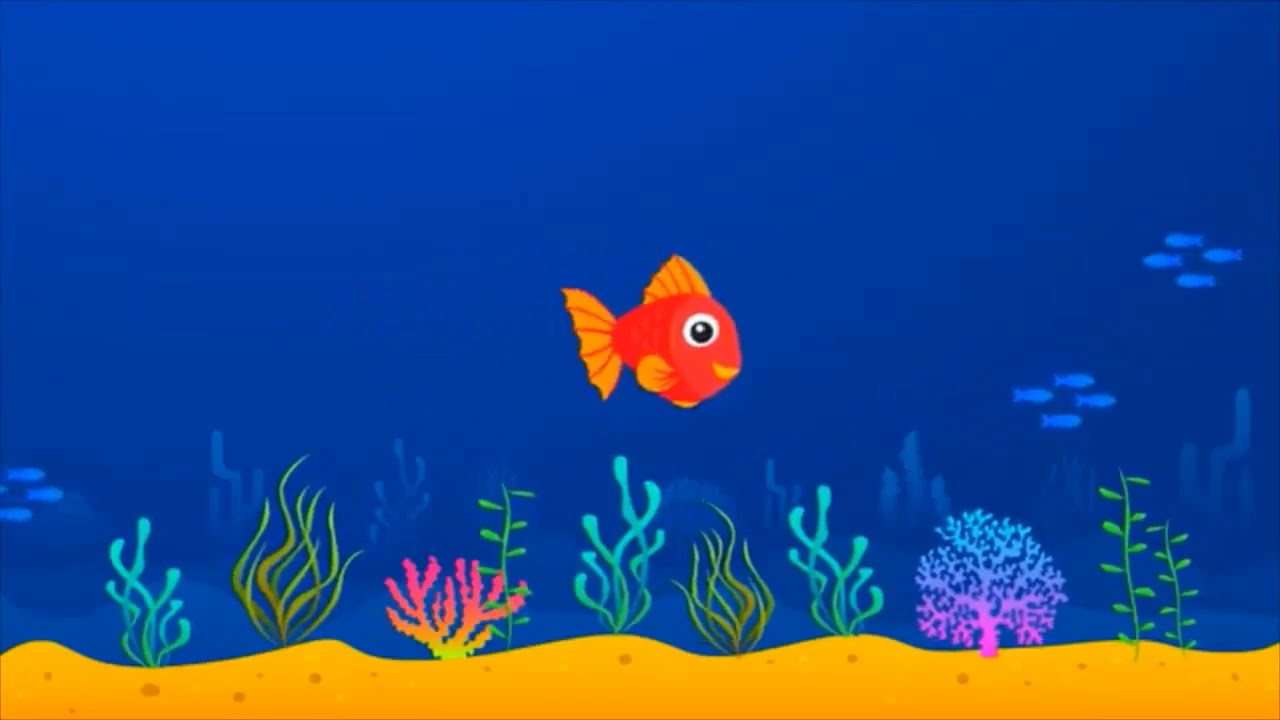 kırmızı balık bebek çocuk şarkıları YouTube