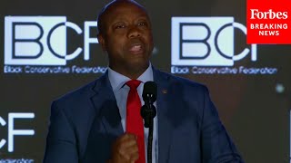 Tim Scott Calls For South Carolina Voters To Support Trump As 'Our Next President And Our Nominee'