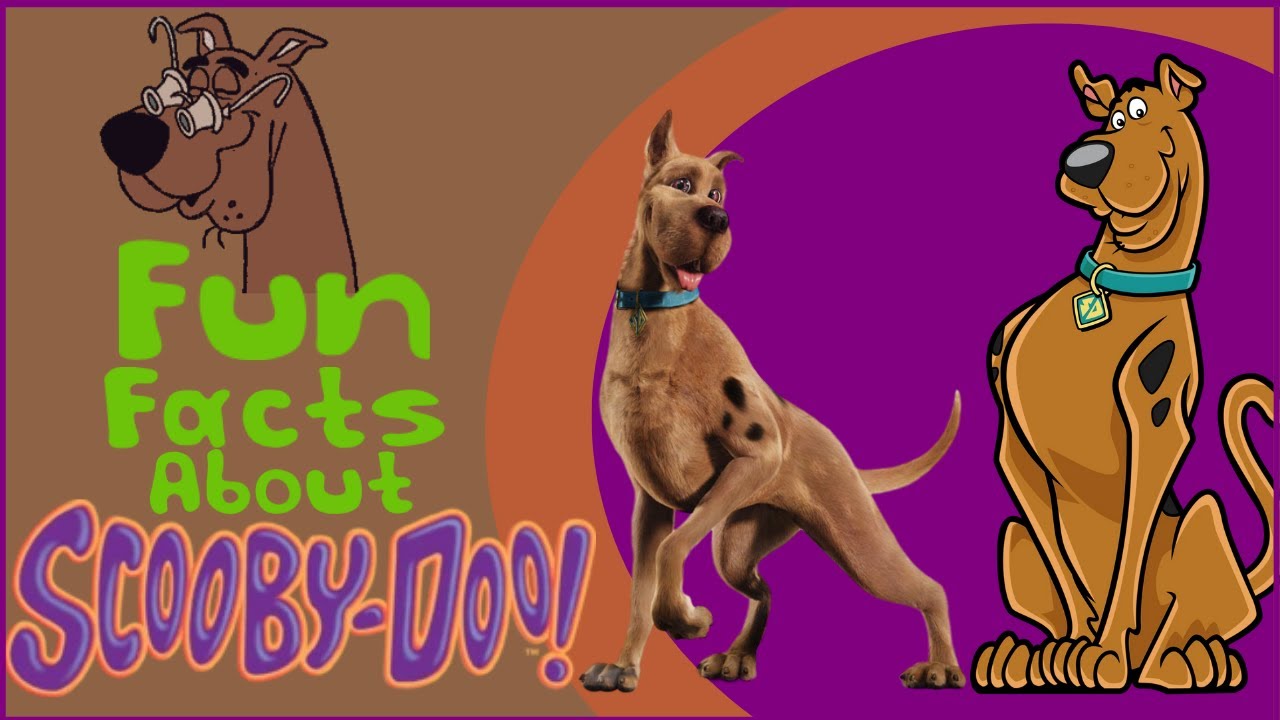 Fun Facts About Scooby Doo! YouTube