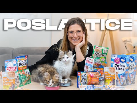 Video: Može li moja mačka jesti tune?
