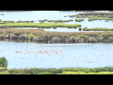 VIDEO INFORMATIVO 13: BAHÍA DE ITE