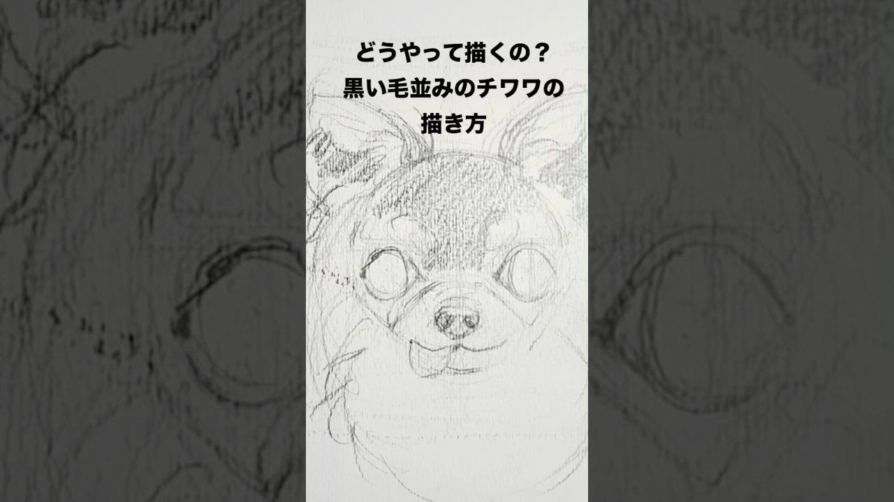 鉛筆で描くチワワの描き方 How To Draw Pencil #shorts #イラスト 
