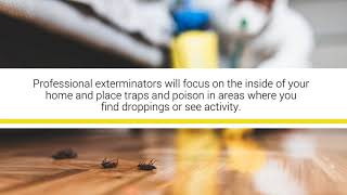 How Much Does Home Pest Control Cost?