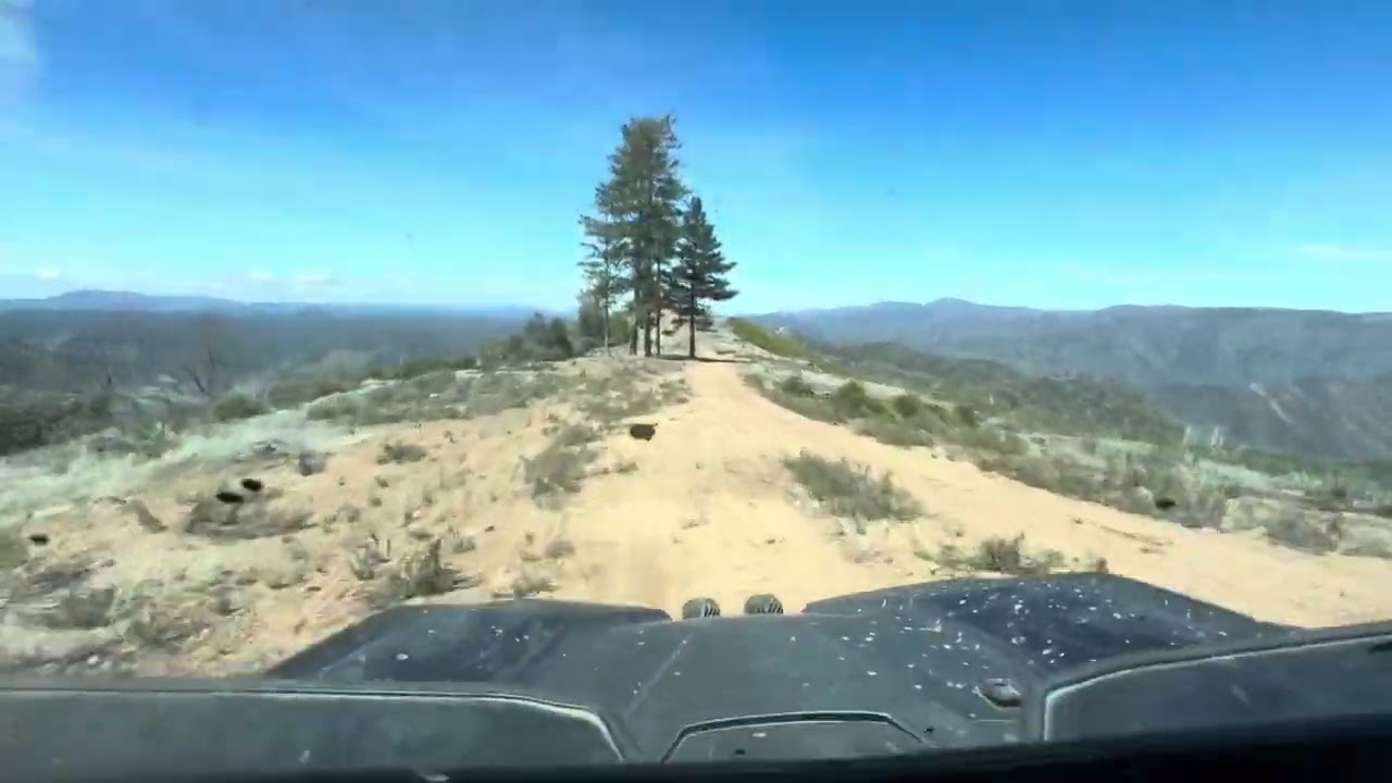 Honda Talon ripping in the mountains