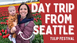 Awesome Day Trip from Seattle - Tulip Gardens and Deception Pass