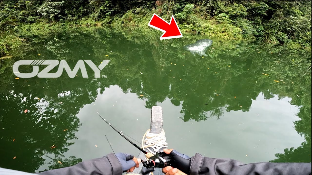 CASTING TOMAN ROYAL BELUM