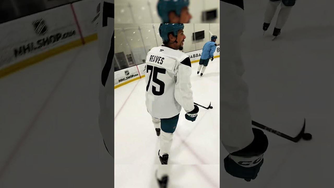 POV: You're an NHL player