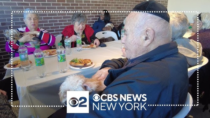 Puppies Comfort Holocaust Survivors At Brooklyn Community Center