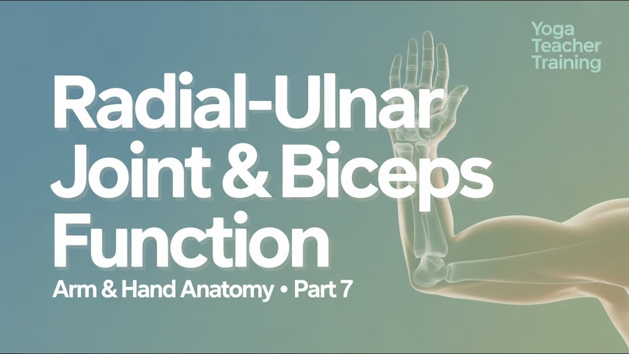 Anatomy of the Arm & Hand — Part 7 | Radial-Ulnar Joint & Biceps Function Explained
