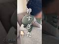 2026年5月5日
