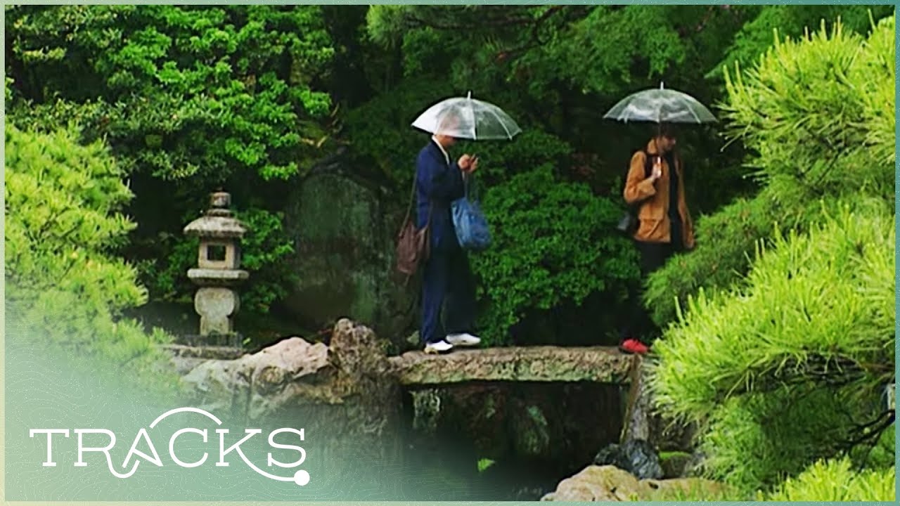 The Zen Beauty Of Kyotos Gardens  Dan Pearson Routes Around The World  TRACKS