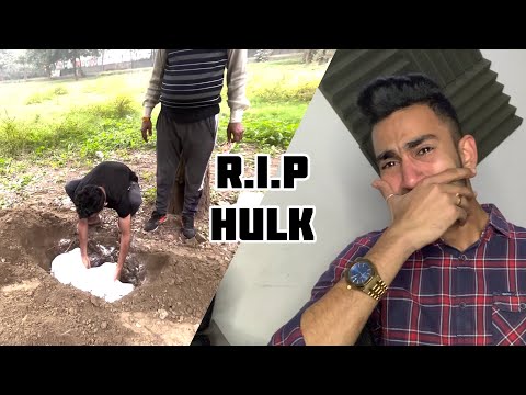 Mr. Hulk is No More! 🥺