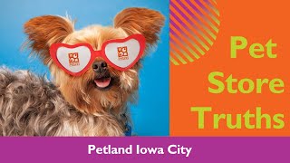 Pet Store Truths: Why Petland Iowa City Is A Great Choice ❣️