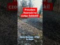 Prezydent Nawrocki na czołgu Sobieski! #nawrocki #łotwa #nato #czołg #polityka #prezydent #shorts