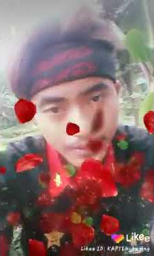 Video story wa