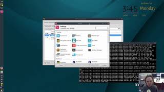 MX Linux 17 Beta 2 Wealth