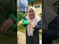 Digigit Buaya #funny #subscribe #trending #comedy #short