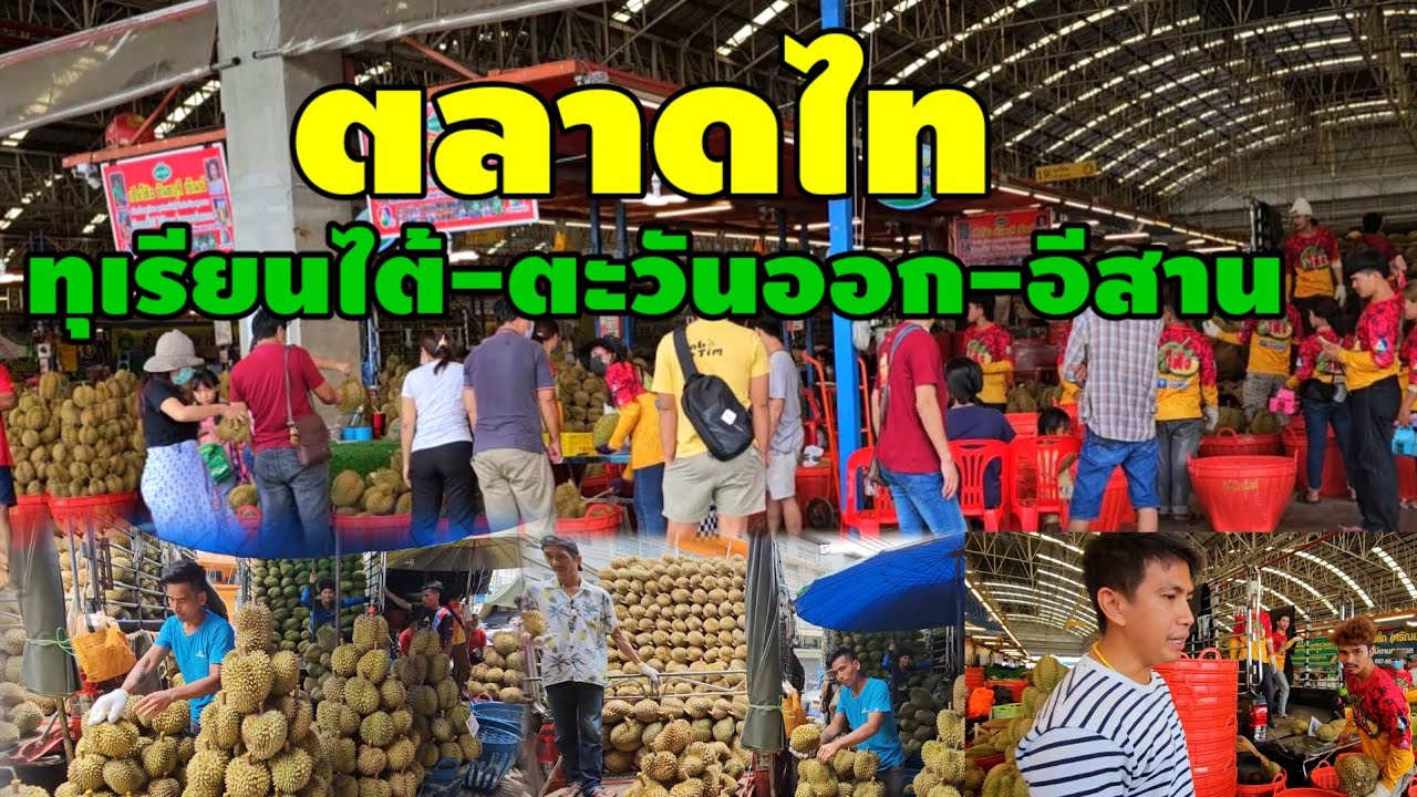ราคาทุเรียนตลาดไทเกิดอะไรขึ้น‼️ผลไม้ราคาส่ง ผลไม้ตามฤดูกาล