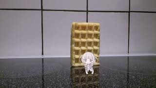 Waffle Falling Over Bancho