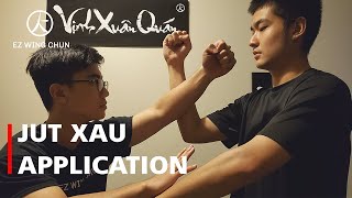 6. Basic WingChun Hand Fighting Application - Jut Xau // Jay Nguyen EZ_WingChun screenshot 4