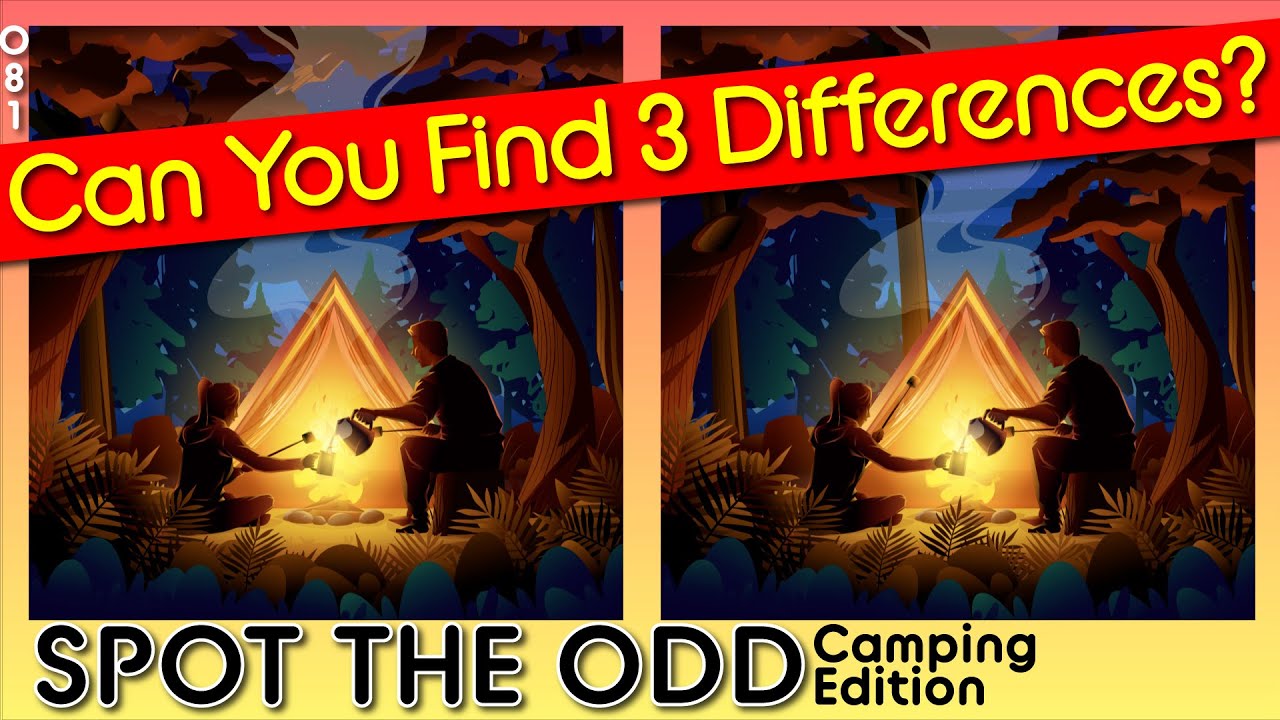 Brain break Camping Game 81 brain break find 3 differences