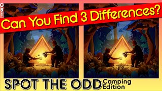 Brain break - Camping | Game 81  | brain break | find 3 differences | How good are your eyes 